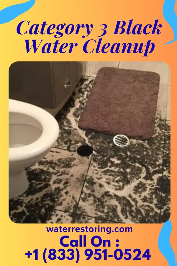 Category 3 Black Water Cleanup in Bowler, WI